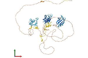 AlphaFold protein structure predicition of Human Recombinant MYEF2 Protein, UniprotID Q9P2K5