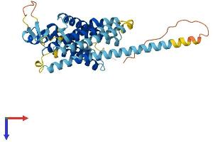 AlphaFold protein structure predicition of Human Recombinant TRAM1L1 Protein, UniprotID Q8N609