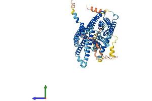 AlphaFold protein structure predicition of Human Recombinant SLC40A1 Protein, UniprotID Q9NP59