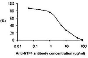 The effect of NTF4 polyclonal antibody  on the neurite outgrowth of embryonic dorsal root ganglion promoted by NTF4.