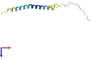 AlphaFold protein structure predicition of Human Recombinant ADIG Protein, UniprotID Q0VDE8