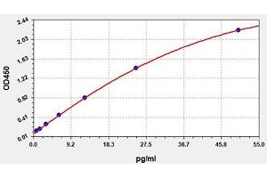 Typical standard curve