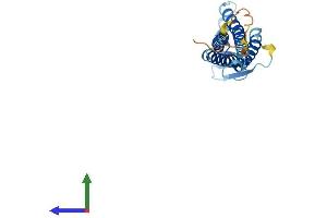 AlphaFold protein structure predicition of Mouse Recombinant Cldn9 Protein, UniprotID Q9Z0S7