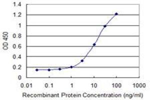 Detection limit for recombinant GST tagged CTNNB1 is 0. (CTNNB1 anticorps  (AA 682-781))