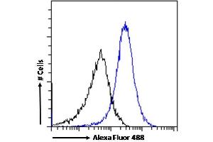 (ABIN570720) Flow cytometric analysis of paraformaldehyde fixed A549 cells (blue line), permeabilized with 0. (CTAG1B anticorps  (Internal Region))