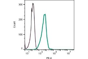 Cell surface detection of NaV1.