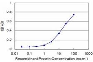 Detection limit for recombinant GST tagged PRDM1 is approximately 3ng/ml as a capture antibody. (PRDM1 anticorps  (AA 1-109))
