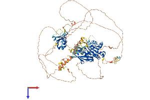 AlphaFold protein structure predicition of Mouse Recombinant Lpin1 Protein, UniprotID Q91ZP3