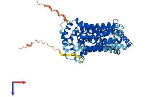 AlphaFold protein structure predicition of Human Recombinant SLC2A7 Protein, UniprotID Q6PXP3