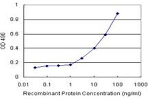 Sandwich ELISA detection sensitivity ranging from 3 ng/mL to 100 ng/mL. (GALT (Humain) Matched Antibody Pair)