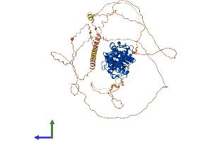 AlphaFold protein structure predicition of Mouse Recombinant Senp5 Protein, UniprotID Q6NXL6