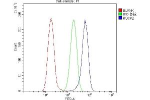Flow Cytometry analysis of A549 cells using anti-ROCK2 antibody (ABIN7602236).