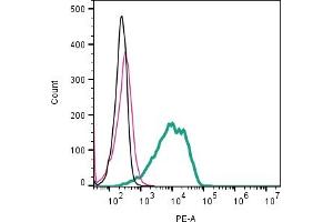 Cell surface detection of GPR31 by indirect flow cytometry in live intact mouse P815 mast cell line: + goat-anti-rabbit-PE.