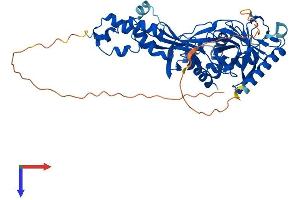 AlphaFold protein structure predicition of Mouse Recombinant Fbxo31 Protein, UniprotID Q3TQF0