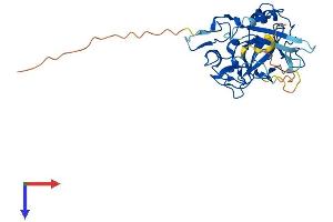 AlphaFold protein structure predicition of Mouse Recombinant Setmar Protein, UniprotID Q80UJ9