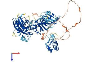 AlphaFold protein structure predicition of Human Recombinant ESRP1 Protein, UniprotID Q6NXG1