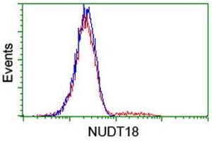 Image no. 2 for anti-Nudix (Nucleoside Diphosphate Linked Moiety X)-Type Motif 18 (NUDT18) antibody (ABIN1499858) (NUDT18 anticorps)