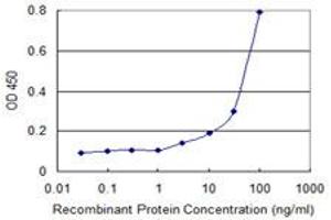 Detection limit for recombinant GST tagged HMOX2 is 1 ng/ml as a capture antibody.