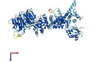 AlphaFold protein structure predicition of Mouse Recombinant Herc4 Protein, UniprotID Q6PAV2