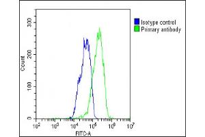 Overlay histogram showing HepG2 cells stained with (ABIN6244226 and ABIN6577745)(green line).