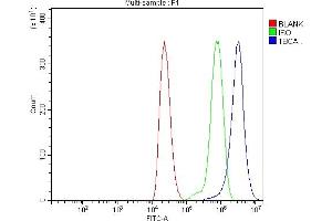 Flow Cytometry analysis of THP-1 cells using anti-CFA/TBCA antibody (ABIN7598945).