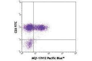 Flow Cytometry (FACS) image for anti-Interleukin 2 (IL2) antibody (Pacific Blue) (ABIN2662352)