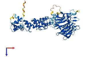 AlphaFold protein structure predicition of Mouse Recombinant Ipp Protein, UniprotID P28575