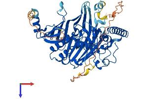 AlphaFold protein structure predicition of Human Recombinant OSBPL2 Protein, UniprotID Q9H1P3