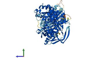 AlphaFold protein structure predicition of Human Recombinant CARNS1 Protein, UniprotID A5YM72