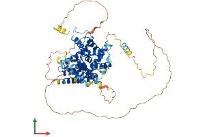 AlphaFold protein structure predicition of Mouse Recombinant Parpbp Protein, UniprotID Q6IRT3