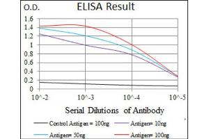 Red: Control Antigen (100ng) ; Purple: Antigen (10ng) ; Green: Antigen (50ng) ; Blue: Antigen (100ng). (CD33 anticorps  (AA 15-237))