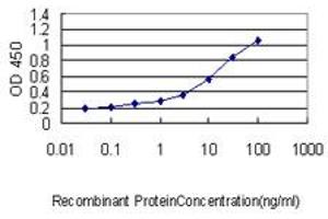 Detection limit for recombinant GST tagged TEX264 is approximately 0. (TEX264 anticorps  (AA 1-313))