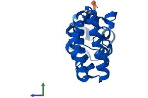 AlphaFold protein structure predicition of Human Recombinant URAD Protein, UniprotID A6NGE7