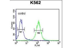 RTN4RL1 Antibody (C-term) (ABIN651458 and ABIN2840251) flow cytometric analysis of K562 cells (right histogram) compared to a negative control cell (left histogram). (RTN4RL1 anticorps  (C-Term))
