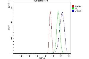 Flow Cytometry analysis of U251 cells using anti-MT-ND5 antibody (ABIN7600145). (MT-ND5 anticorps  (AA 154-570))