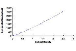 ELISA image for gamma-Interferon-Induced Monokine (CXCL9) ELISA Kit (ABIN425197)