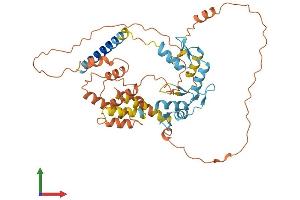 AlphaFold protein structure predicition of Human Recombinant ZBTB14 Protein, UniprotID O43829