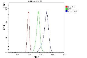 Flow Cytometry analysis of CACO-2 cells using anti-IDH1 antibody (ABIN7602760).