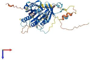 AlphaFold protein structure predicition of Mouse Recombinant Elp4 Protein, UniprotID Q9ER73