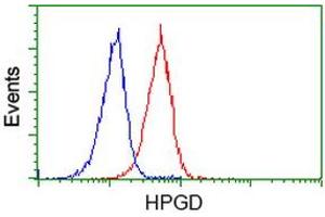 Image no. 5 for anti-Hydroxyprostaglandin Dehydrogenase 15-(NAD) (HPGD) antibody (ABIN1496361) (HPGD anticorps)