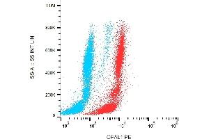 anti-WW Domain Binding Protein 1 Like (WBP1L) (AA 152-342) antibody (PE)