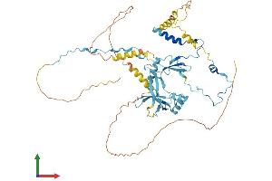 AlphaFold protein structure predicition of Human Recombinant PAF1 Protein, UniprotID Q8N7H5