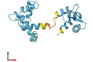 AlphaFold protein structure predicition of Human Recombinant TNNC1 Protein, UniprotID P63316