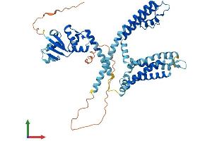 AlphaFold protein structure predicition of Human Recombinant KCNF1 Protein, UniprotID Q9H3M0