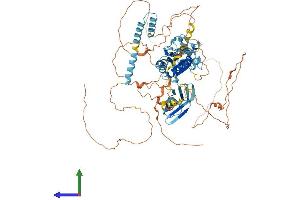 AlphaFold protein structure predicition of Human Recombinant BANK1 Protein, UniprotID Q8NDB2