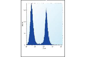 ENO1 Antibody (Center) (ABIN390429 and ABIN2840814) flow cytometric analysis of Hela cells (right histogram) compared to a negative control cell (left histogram).