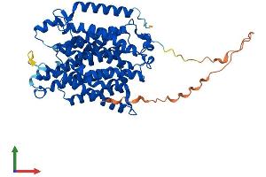 AlphaFold protein structure predicition of Mouse Recombinant Rhcg Protein, UniprotID Q9QXP0
