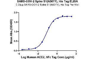 Immobilized SARS-COV-2 Spike S1 (N501Y), His Tag at 0.
