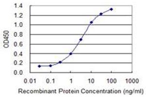 Detection limit for recombinant GST tagged SOX12 is 0.