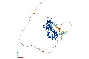 AlphaFold protein structure predicition of Human Recombinant MAGEA12 Protein, UniprotID P43365